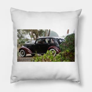 Here comes the Bride - Magpie Springs - Adelaide Hills Wedding - Fleurieu Peninsula wedding Pillow