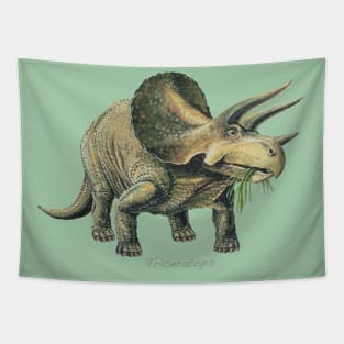 Triceratops Tapestry