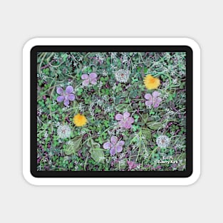 'Dandelions & Clover (Ground Cover #2)' Magnet