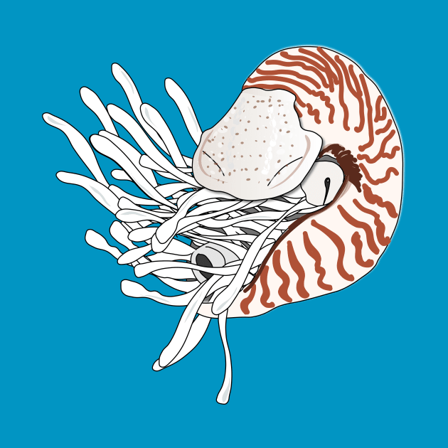 Nautilus nautile tentacles mollusc by FabuleusePlanete