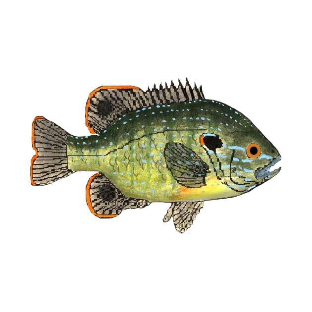 Green Sunfish by FishFolkArt