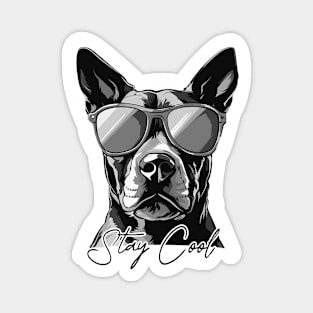 Cool Dog with sunglasses Magnet