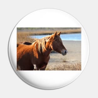 Assateague Beach Ponies - Series - 05 Pin