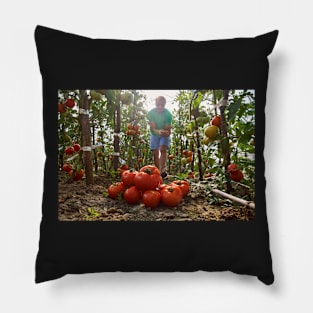 Caucasian farmer picking tomatoes Pillow