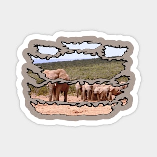 Ripped Wildlife Elephant Herd Magnet