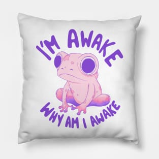 I’m awake - why am I awake Pillow