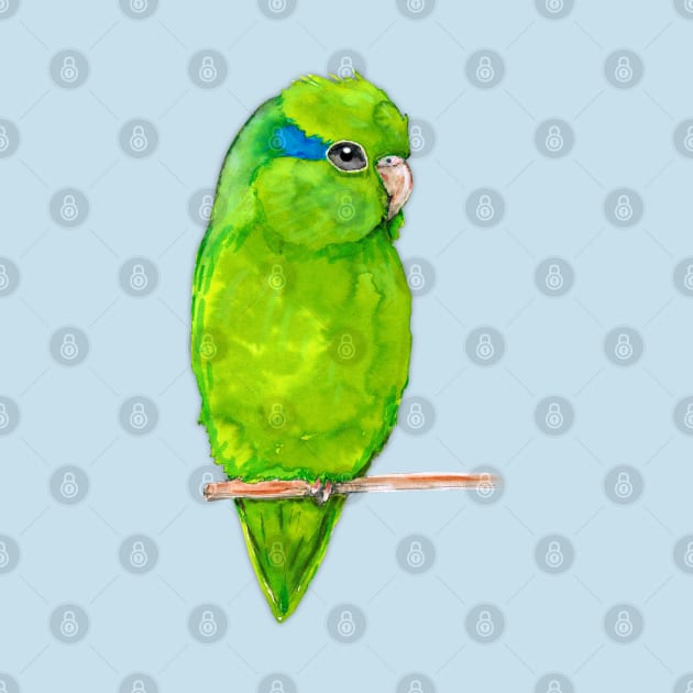 Green parrotlet by Bwiselizzy