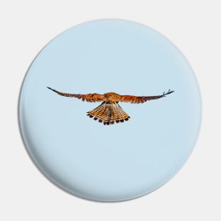 Rear view of a hovering Kestrel Pin