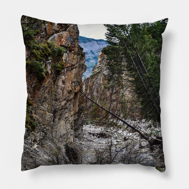 Kings Creek Trail. Pillow by CanadianWild418