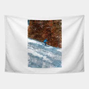 Skiing Fast Abstract Tapestry