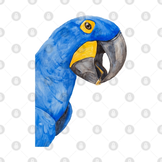 hyacinth macaw blue parrot bresil watercolor art print by Oranjade0122