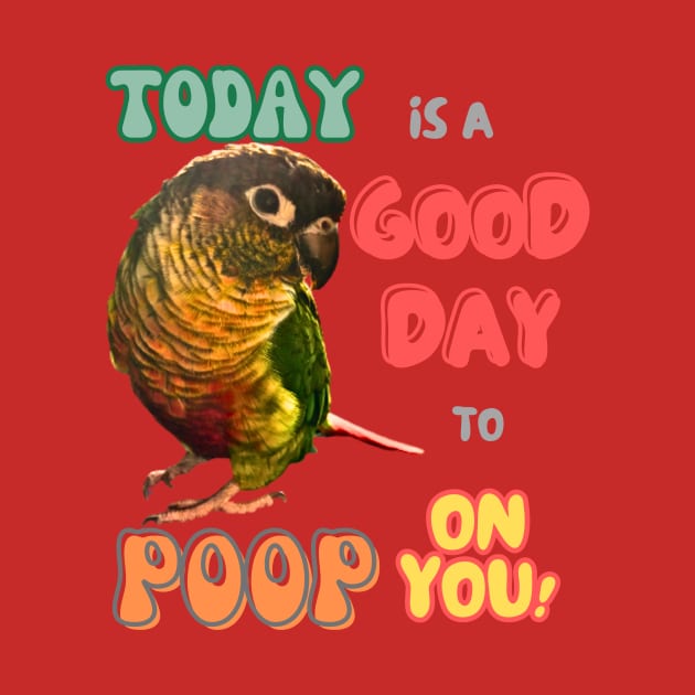 Green Cheek Conure Bird, Small Parrot, Parakeet, Today is a good day to poop on you by TatianaLG