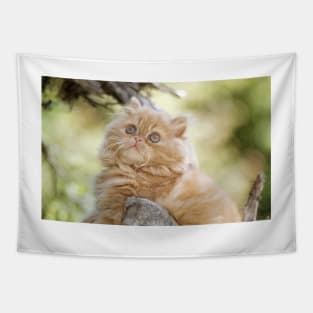 Persian Cat Digital Painting Tapestry