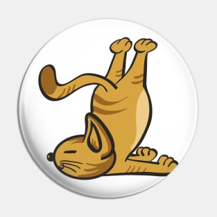 Cat In Different Yoga Poses Pin