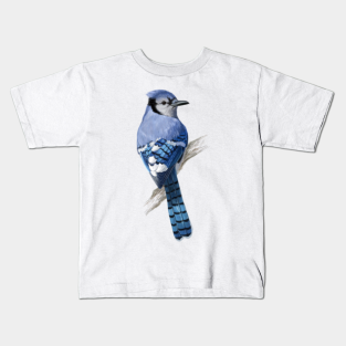 blue jay shirts for kids
