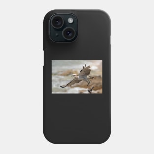 Osprey Takes Flight, Sunshine Coast Phone Case