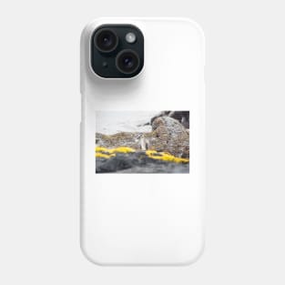 Black-crowned night heron 2 Phone Case