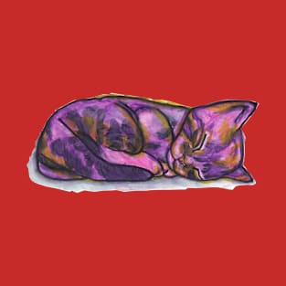 The sleeping Tabby T-Shirt