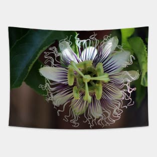 Passion Flower Tapestry