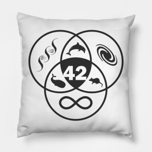 42 The answer to life, univers, and everything Pillow