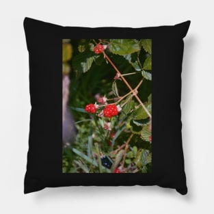 Berry Sweet Pillow