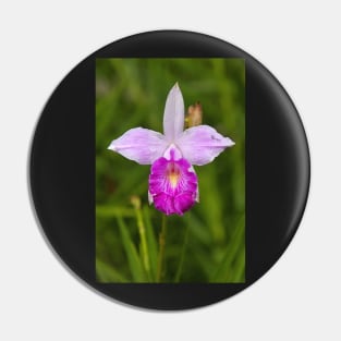 Bamboo Orchid Pin