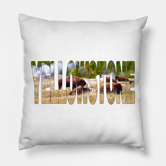 YELLOWSTONE - Bison in the Grass - Wyoming USA Pillow by TouristMerch