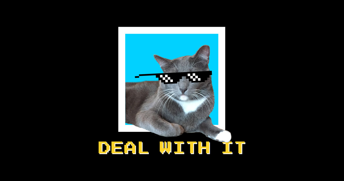 Deal With It Sunglass Cat Meme Deal With It Sunglasses Sticker Teepublic