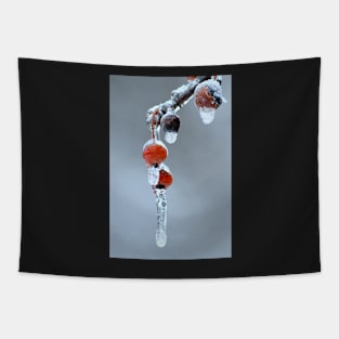 Iced berries Tapestry