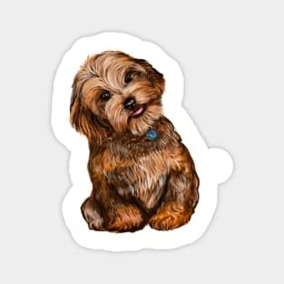 Cavapoochon Cavapoo Cavoodle  Black and Tan tilted head - cute cavalier King Charles spaniel Bichon frise Magnet