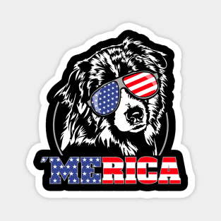 Proud Australian Shepherd American Flag patriotic merica dog Magnet