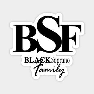 BSF Magnet