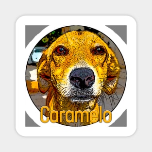 Caramel the famous dog of Brazil, victim of torture and death in a supermarket Magnet