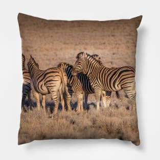 Zebras in Botswana Pillow