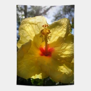 Basking Hibiscus Tapestry