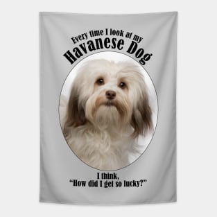 Havanese Dog Traits Tapestry