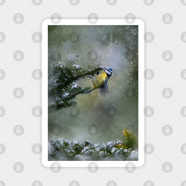 Blue Tit Magnet by ElviraDraat