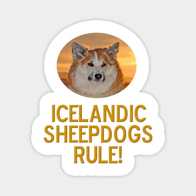 Icelandic Sheepdogs Rule! Magnet by Naves