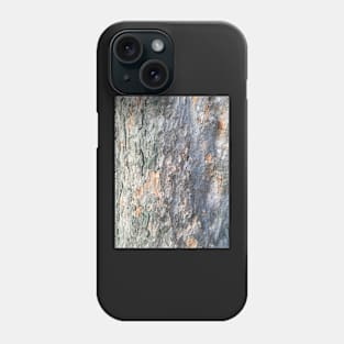 Bark - Plane #4 Phone Case