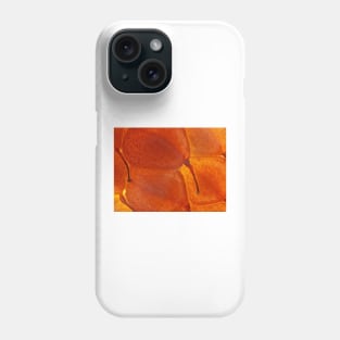 Raspberry under the microscope Phone Case