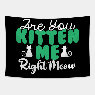 Are You Kitten Me Right Meow Tapestry