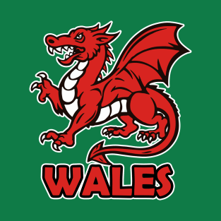 Wales Welsh  dragon cymru red dragon T-Shirt