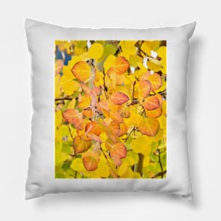 Fall Aspen Leaves Pillow