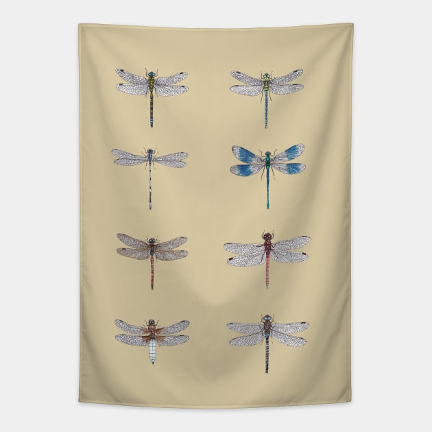 Dragonfly Studies Tapestry by djrbennett