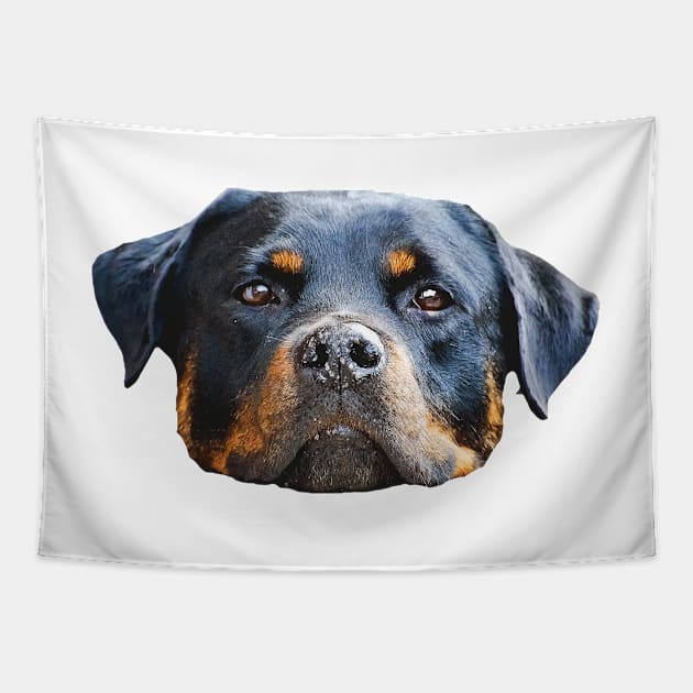 The Rottweiler the best dog for you Tapestry by Hujer