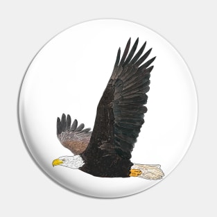 American Bald Eagle Detailed Drawing Pin