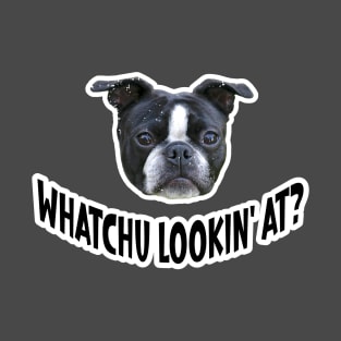 Whatchu Lookin' At? T-Shirt