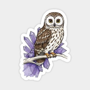 Owl & Amethyst Magnet