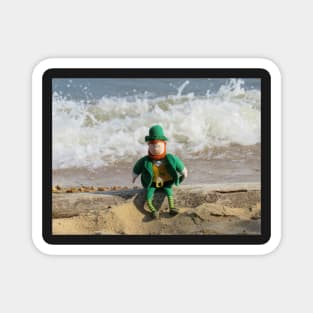 Leprechaun Fun Magnet