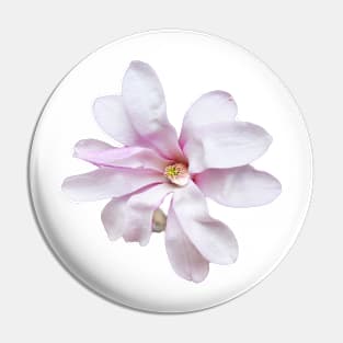 Pale Pink Magnolia Pin